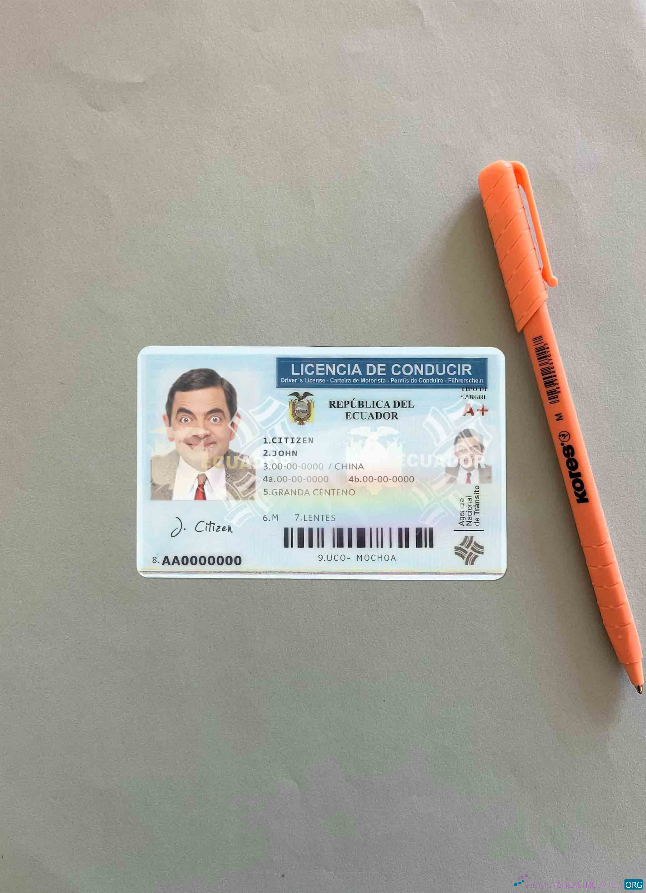 Download Ecuador DL photolook FRONT Photoshop template